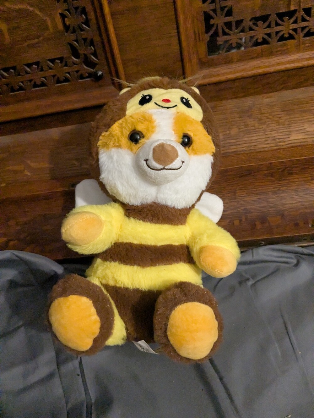 corgi bee